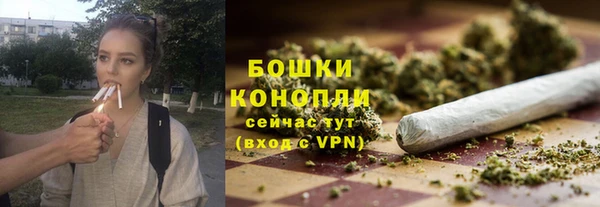 спиды Богородицк