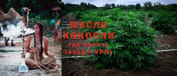 спиды Богородицк