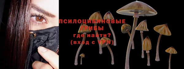 трава Богданович