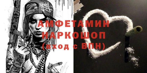 спиды Богородицк