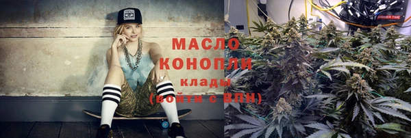 спиды Богородицк
