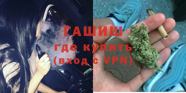 спиды Богородицк
