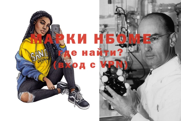 спиды Богородицк